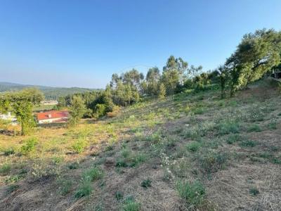 Acheter Terrain Barcelos