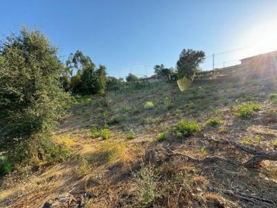 Acheter Terrain Barcelos r�gion BRAGA