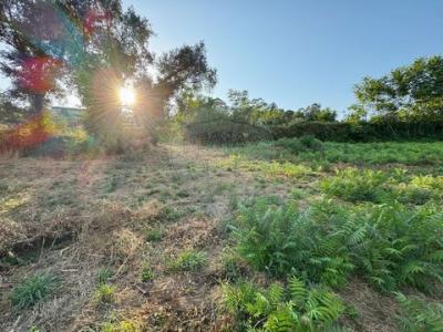 Acheter Terrain Barcelos