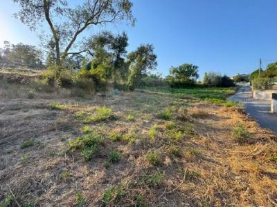 Acheter Terrain Barcelos r�gion BRAGA