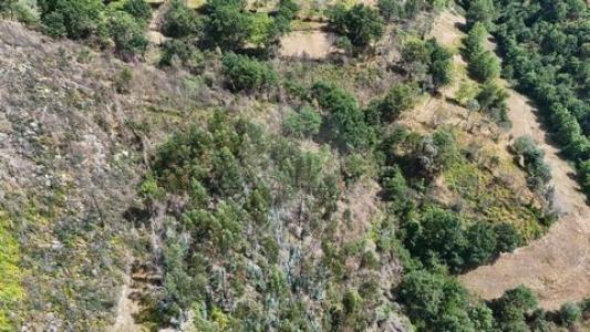 Acheter Terrain Cabeceiras-de-basto