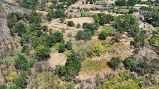 Acheter Terrain Cabeceiras-de-basto r�gion BRAGA