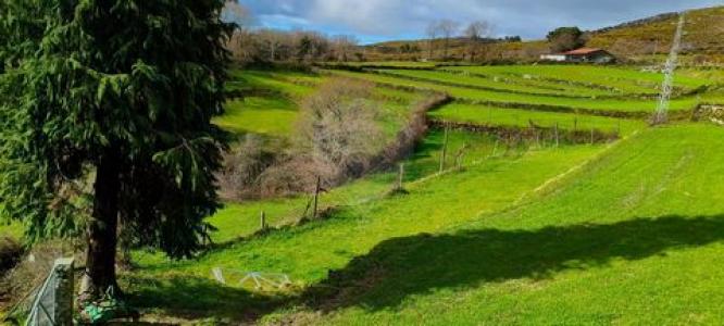 Annonce Vente Terrain Terras-de-bouro