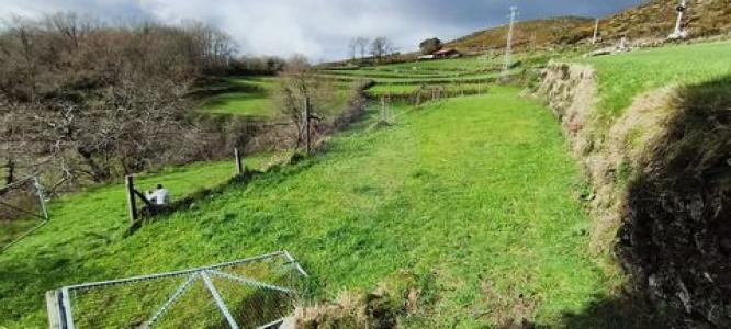 Acheter Terrain Terras-de-bouro r�gion BRAGA