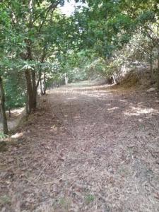 Annonce Vente Terrain Amares