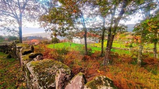 Annonce Vente Terrain Arcos-de-valdevez