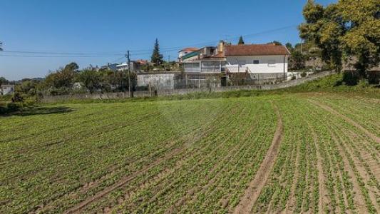 Acheter Terrain Vila-nova-de-famalicao