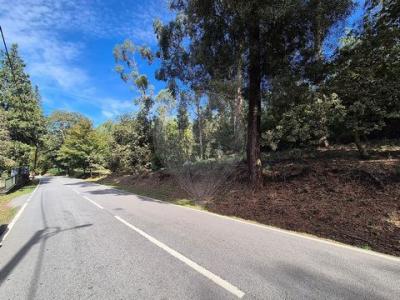 Acheter Terrain Guimaraes r�gion BRAGA