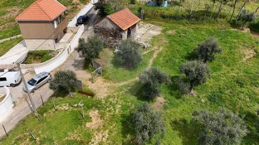 Acheter Terrain Cabeceiras-de-basto r�gion BRAGA