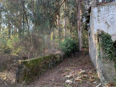 Acheter Maison Vila-verde r�gion COIMBRA