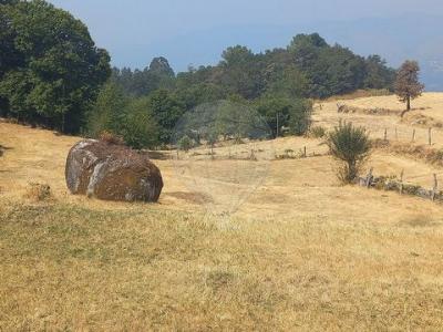 Annonce Vente Terrain Terras-de-bouro