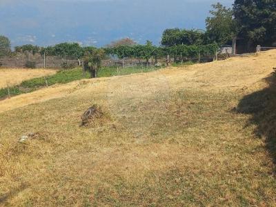 Acheter Terrain Terras-de-bouro r�gion BRAGA