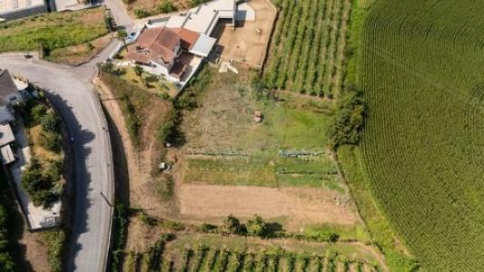 Annonce Vente Terrain Braga