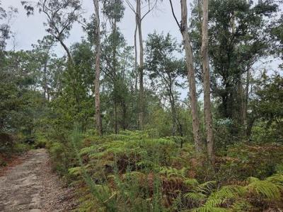 Acheter Terrain 12000 m2 Barcelos