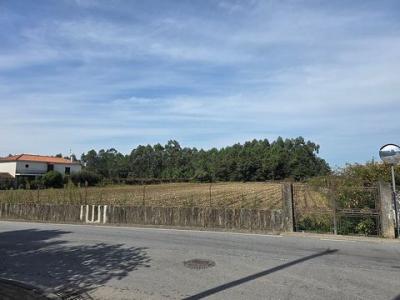 Acheter Terrain 1450 m2 Vieira-do-minho