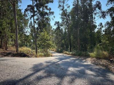 Acheter Terrain Celorico-de-basto