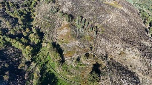 Annonce Vente Terrain Cabeceiras-de-basto