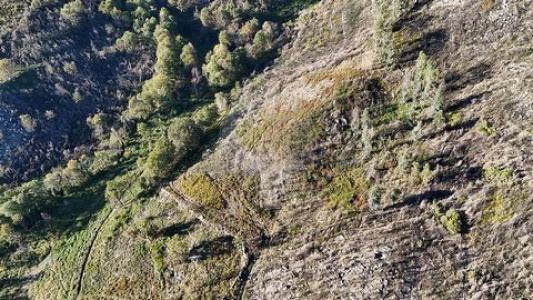 Acheter Terrain Cabeceiras-de-basto