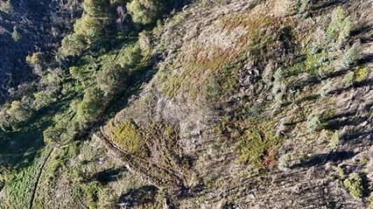 Acheter Terrain Cabeceiras-de-basto r�gion BRAGA