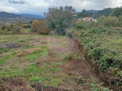 Acheter Terrain Arcos-de-valdevez r�gion VIANA-DO-CASTELO