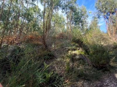 Annonce Vente Terrain Guimaraes