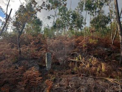 Acheter Terrain Guimaraes