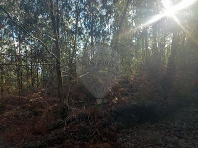 Acheter Terrain Guimaraes r�gion BRAGA