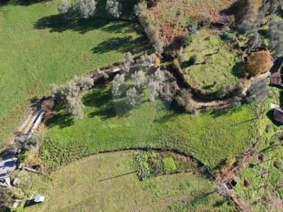 Acheter Terrain Cabeceiras-de-basto r�gion BRAGA