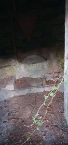 Acheter Terrain Cabeceiras-de-basto