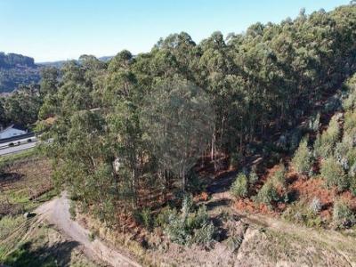 Annonce Vente Terrain Guimaraes