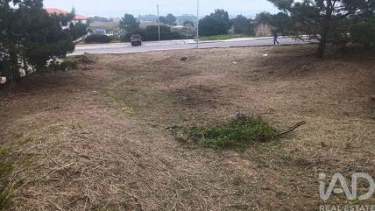 Acheter Terrain 540 m2 Caldas-da-rainha