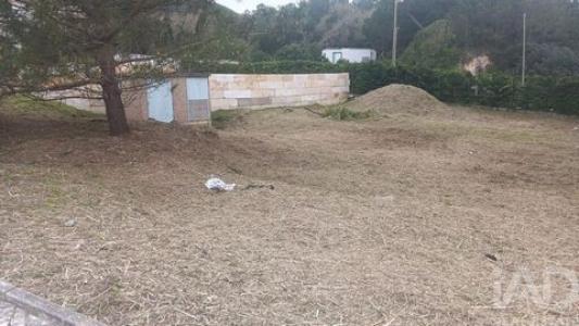 Acheter Terrain Caldas-da-rainha r�gion LEIRIA