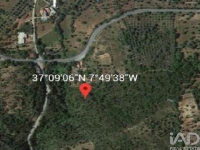 Acheter Terrain 5376 m2 Tavira