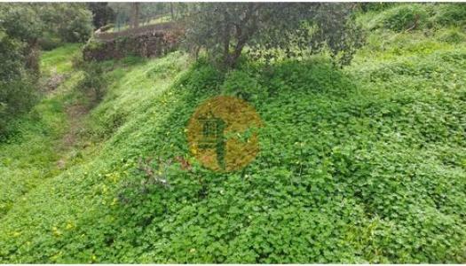 Acheter Terrain Tavira r�gion FARO