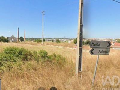 Acheter Terrain 296 m2 Moita