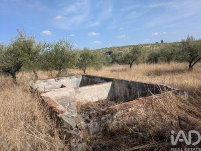 Acheter Maison Campo-maior r�gion PORTALEGRE