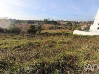 Acheter Terrain 692 m2 Batalha
