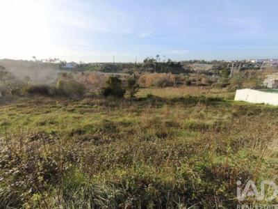 Acheter Terrain Batalha r�gion LEIRIA