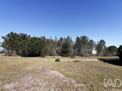 Acheter Terrain 2940 m2 Sesimbra