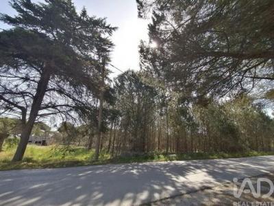 Acheter Terrain Sesimbra r�gion SETUBAL