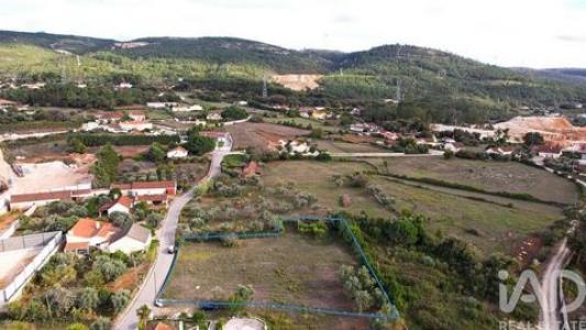 Annonce Vente Terrain Alcobaca