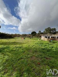 Acheter Maison 175 m2 Palmela