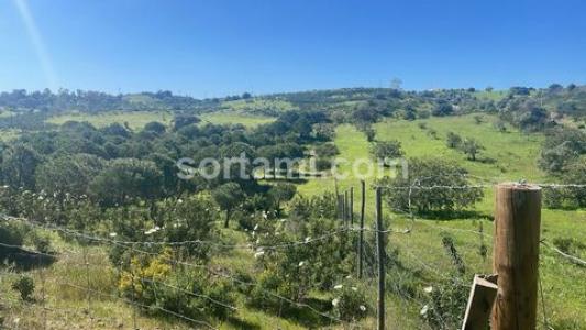 Annonce Vente Terrain Castro-marim