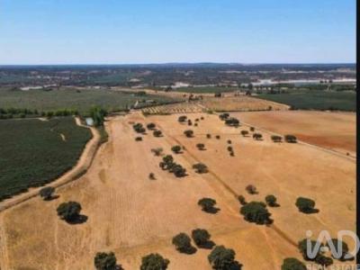 Acheter Maison 55 m2 Ponte-de-sor