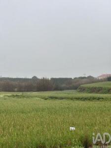 Annonce Vente Terrain Peniche