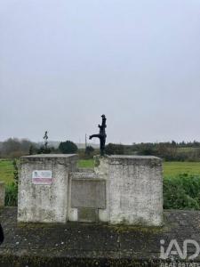 Acheter Terrain 9600 m2 Peniche