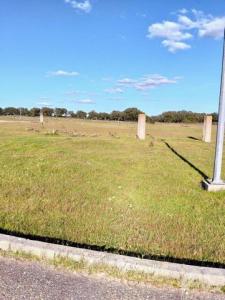 Annonce Vente Terrain Palmela