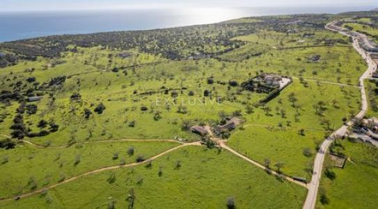 Annonce Vente Terrain Lagos