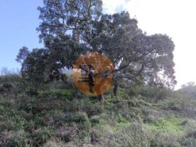 Acheter Terrain Castro-marim r�gion FARO