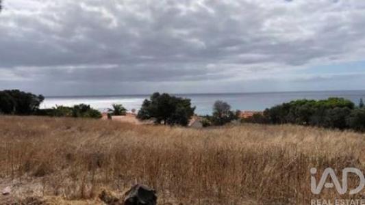 Vente Local commercial Porto-santo  30 au Portugal